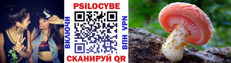 Купить где  Дзержинск  Псилоцибиновые грибы Magic Shrooms 