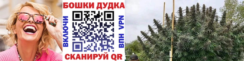 Купить  Дзержинск  Бошки Шишки ГИДРОПОН 